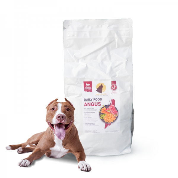 GrainFree_DailyFoodAngus1-600x600