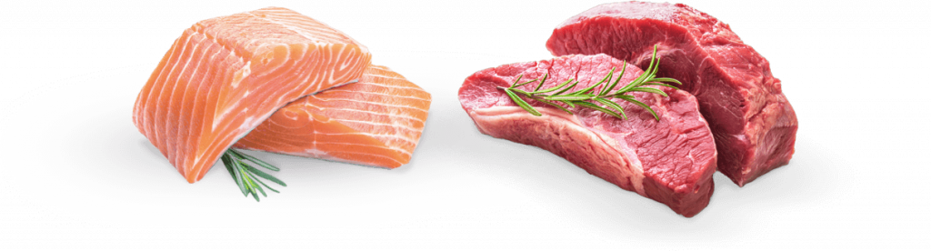 salmon-meat-1024×276